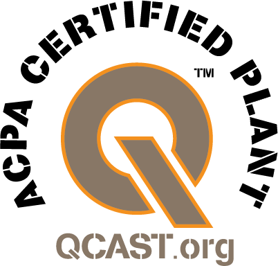 Qcast