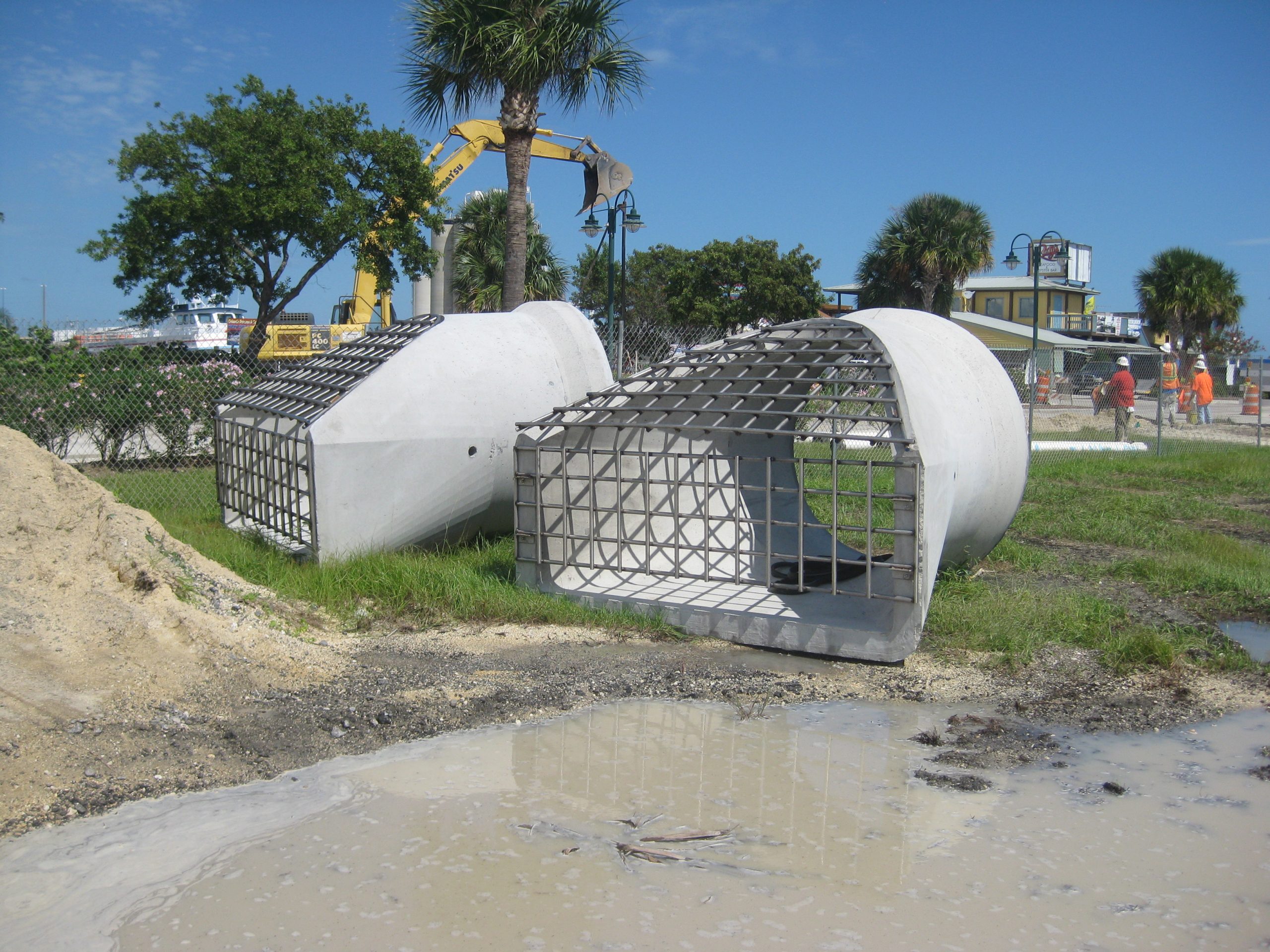 Manatee Guard on Concrete Pipe in Florida